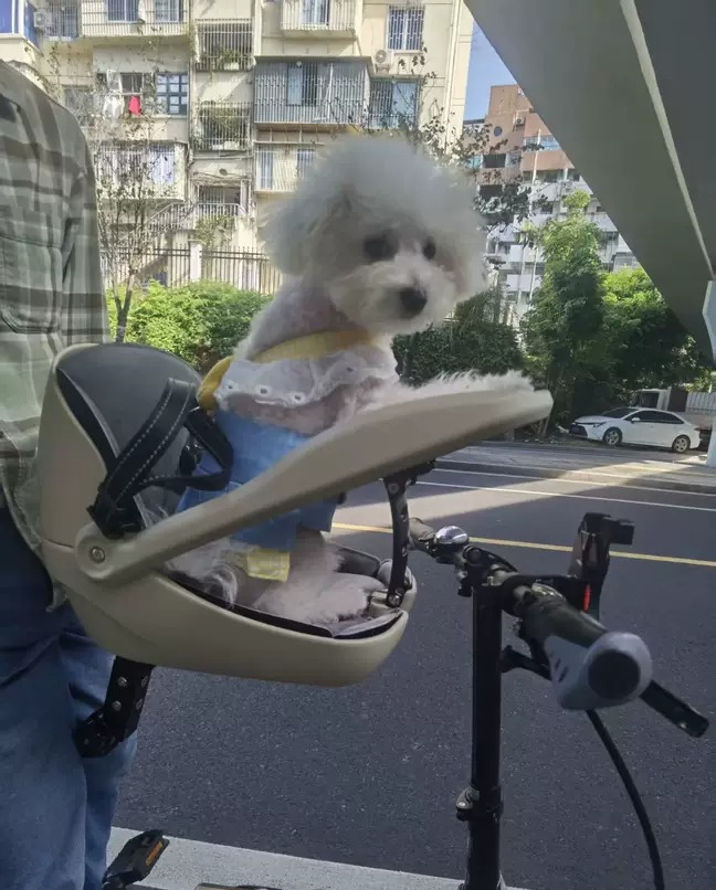 Mountain Biking With Dog - Suitable for folding bicycles, mountain bikes,