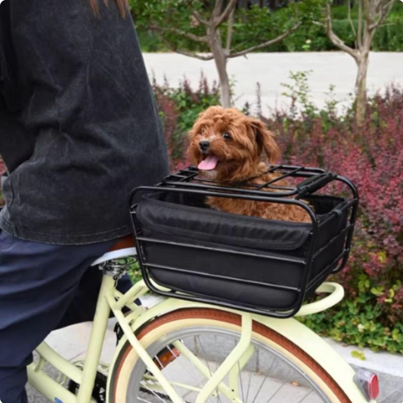 Bicycle Basket With Dog Strap  - Mountain Biking With Dog recension och pris