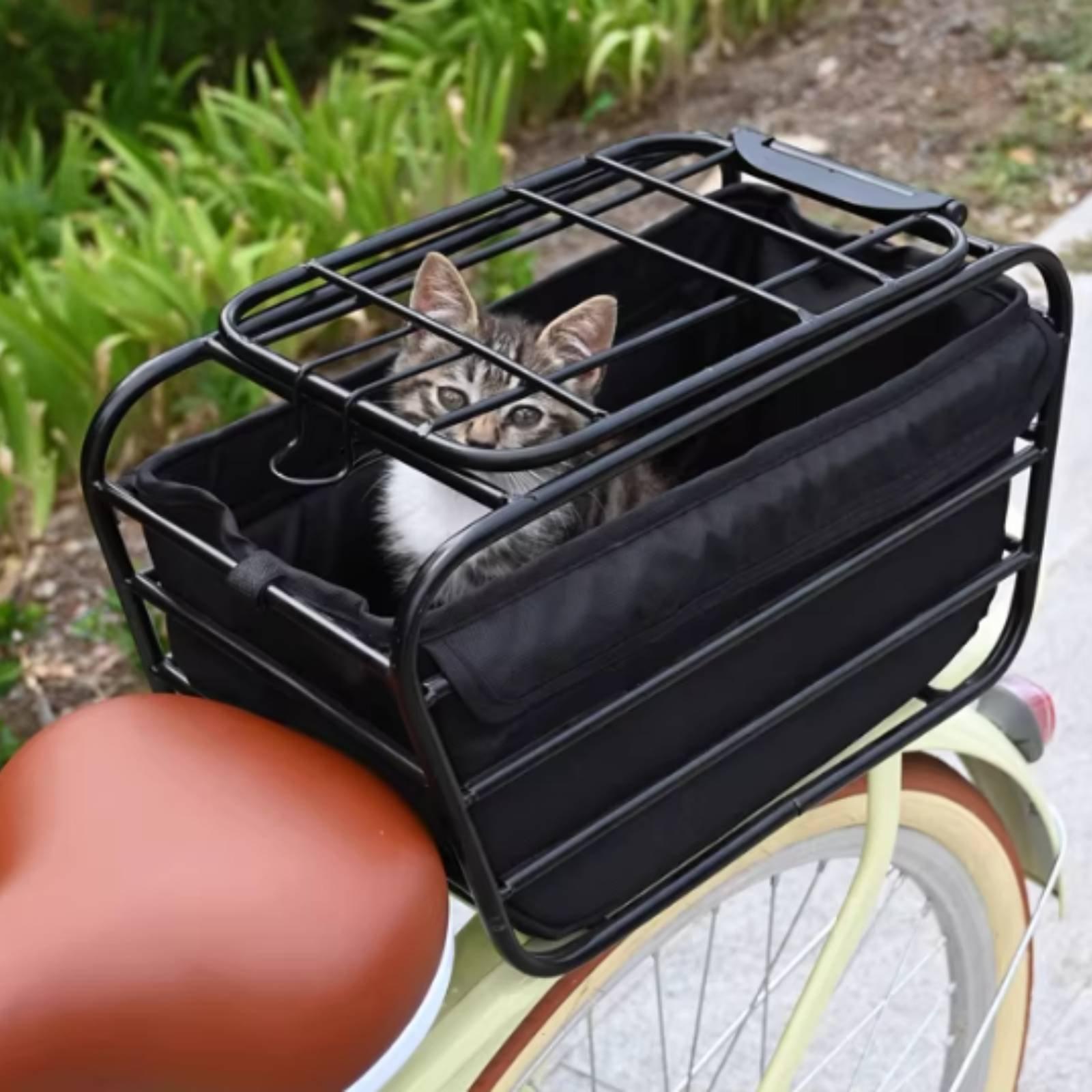 Bicycle Basket With Dog Strap  - Mountain Biking With Dog recension och pris