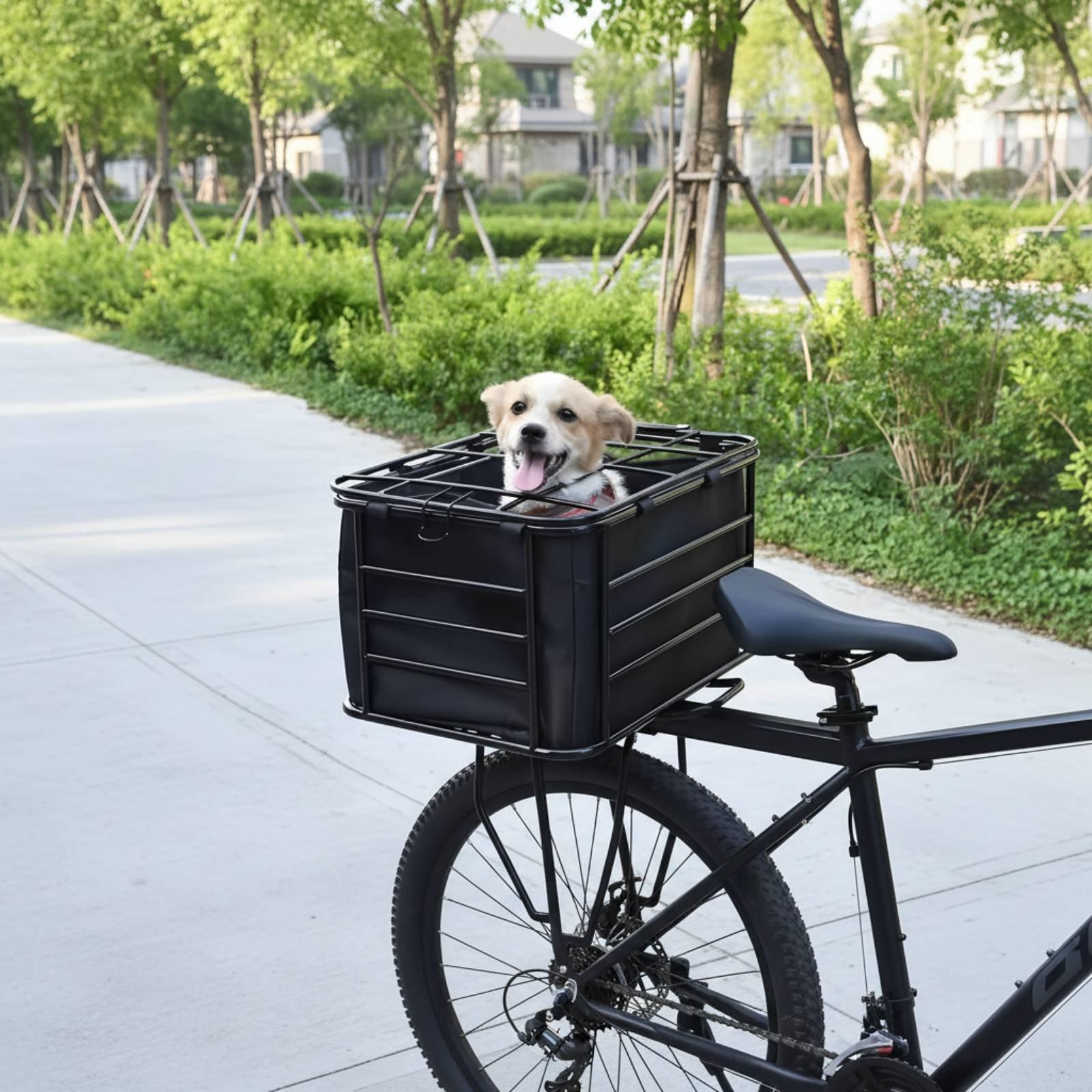 Bicycle Basket With Dog Strap  - Mountain Biking With Dog recension och pris