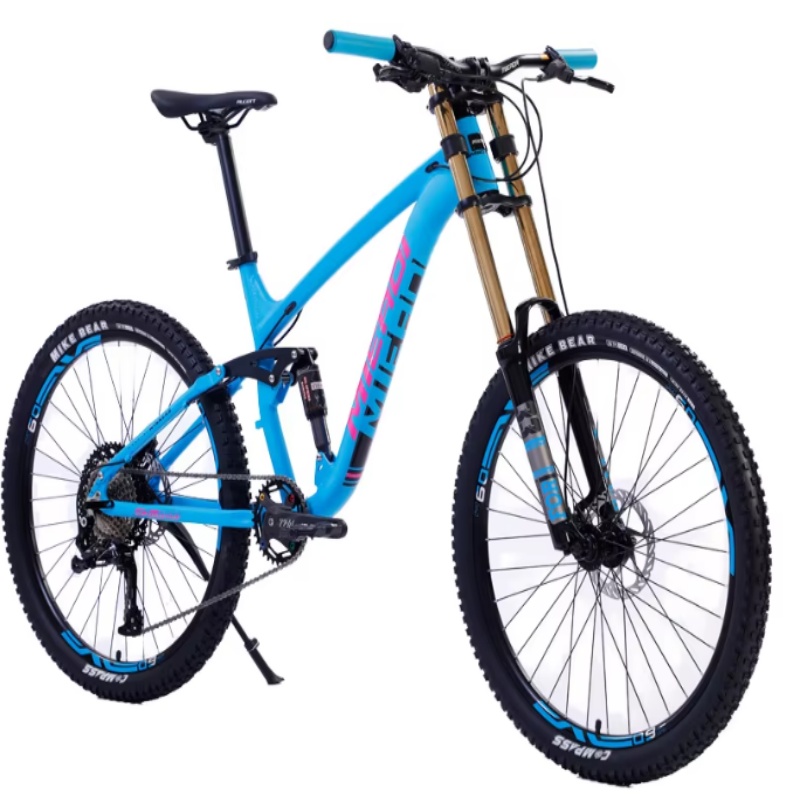 High Quality 24-Inch Dual Disc - Mountain Biking Gear recension och pris
