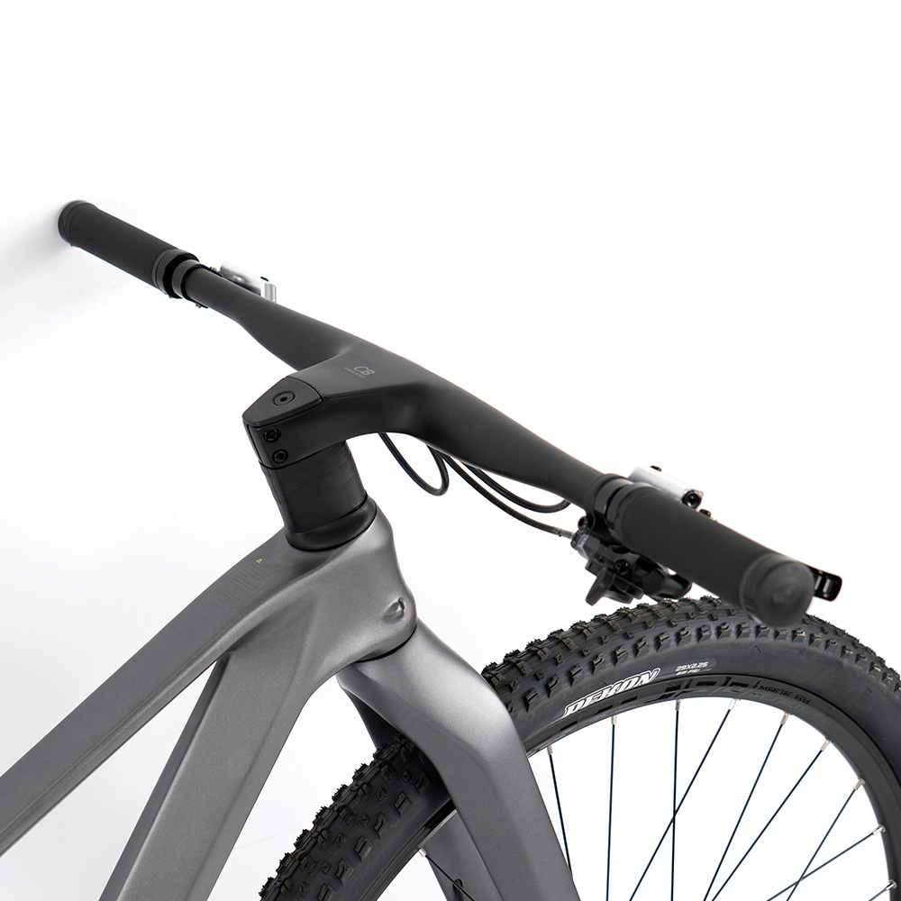 Premium Carbon Mountain Bike w - Mountain Biking Gear recension och pris